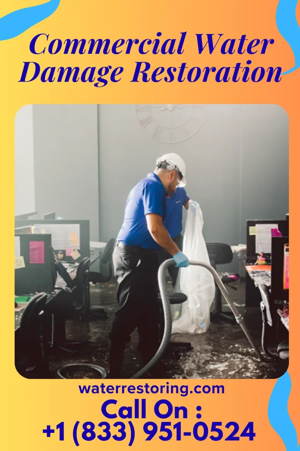 Commercial Water Damage Restoration in East Camden, SC